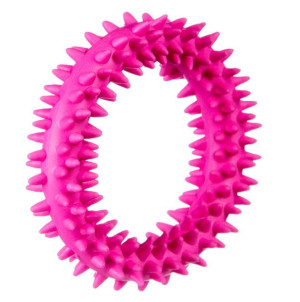 BARRY KING Mały Ring XS dla szczeniąt 9.5cm