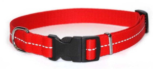 DINGO obroża odblaskowa z taśmy czerwona 1,0 x 20-28 cm
