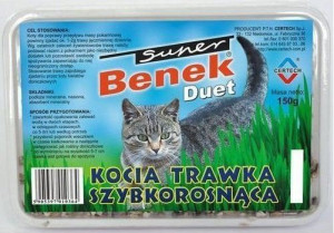 SUPER BENEK Trawka szybkorosnąca "DUET"  dla kota 150g w plastikowym pudełk