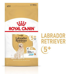 ROYAL CANIN Labrador Retriever Adult 5+ 3kg karma sucha dla psów dorosłych