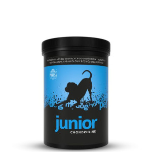 POKUSA ChondroLine Junior 350 g - na stawy dla szczeniaka