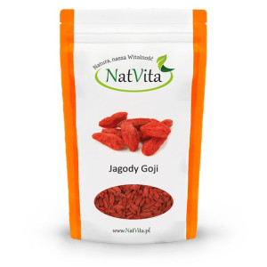 Jagody Goji 100g NatVita