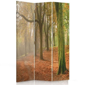 Parawan POKOJOWY dwustronny, Jesień w lesie 110x170