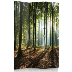 Parawan dwustronny, Promienie słońca w lesie 110x170
