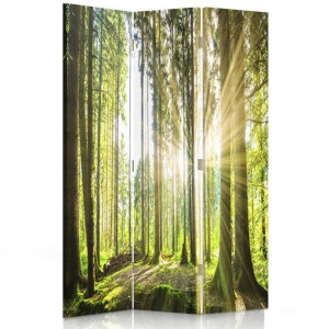 Parawan dwustronny, Słońce w lesie 110x170