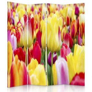 Parawan dwustronny, Wielobarwne tulipany 145x170