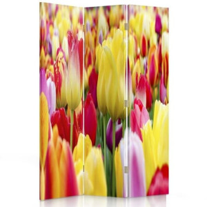 Parawan dwustronny, Wielobarwne tulipany 110x170