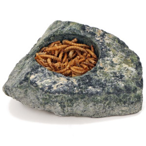 Terrario Hard Rock Dish L - Miska W Naturalnej Skale