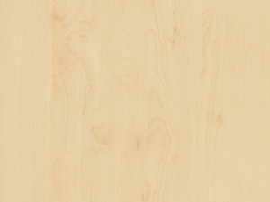 Okleina BRZOZA 90x210