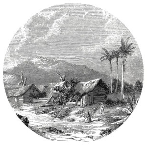 WallArt Okrągła fototapeta Landscape of Guadeloupe, 142,5 cm