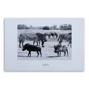 Obraz na płótnie, Zwierzęta Afrykańskie - Zebra Sawanna 90x60 czarno biały