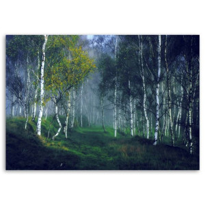 Obraz na płótnie, Brzozy we mgle, 1-częściowy 90x60