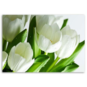 Duży Obraz DO SALONU, Białe tulipany, Natura Rośliny 1-częściowy 90x60