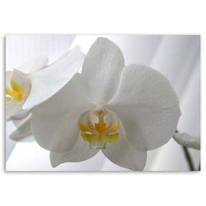 ORCHIDEA Obraz ścienny na płótnie, Zen Spa Kwiaty Natura 1-częściowy 90x60