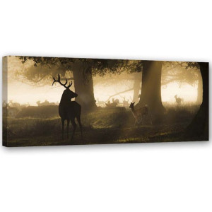 Obraz na płótnie, Jelenie we mgle 120x40