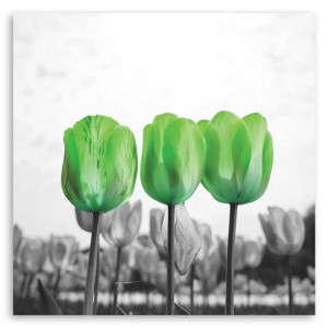 Obraz na płótnie, Zielone tulipany na łące, 1-częściowy 60x60