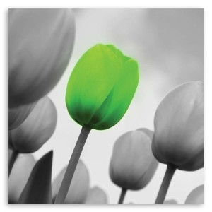 Obraz na płótnie, Zielony tulipan, 1-częściowy 30x30