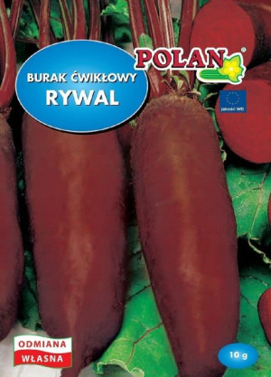 Burak Ćwikłowy Rywal Nasiona 10g Polan