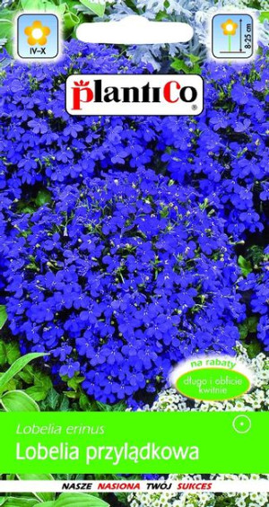 Lobelia Przylądkowa Fioletowa 0,2g PlantiCo