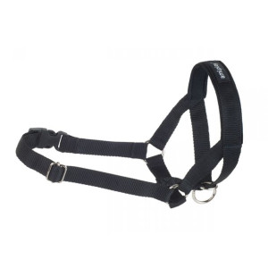 Amiplay Halter Basic Rozmiar M Czarny