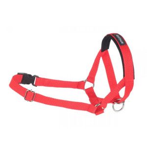 Amiplay Halter Basic Rozmiar M Czerwony