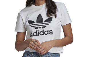 Koszulka Gn2899_aytrr4 Trefoil Tee 38