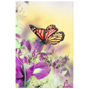 OBRAZ DRUKOWANY  Full color butterfly 20x30