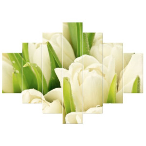 OBRAZ DRUKOWANY  Delikatne tulipany 210x150