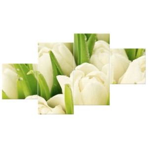 OBRAZ DRUKOWANY  Delikatne tulipany 160x90