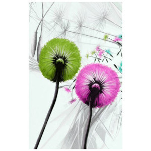 FOTOROLETA  Kolorowe dmuchawce 95x150