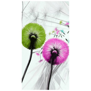FOTOROLETA  Kolorowe dmuchawce 80x150
