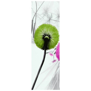 FOTOROLETA  Kolorowe dmuchawce 68x215