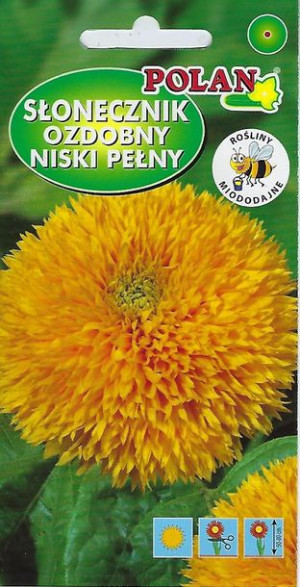 Słonecznik Ozdobny Niski 2g PlantiCo