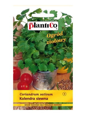 Kolendra Siewna Mini Ogród 0,5g PlantiCo
