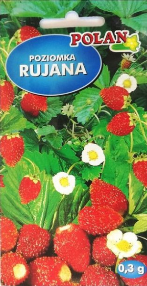 Poziomka Polan
