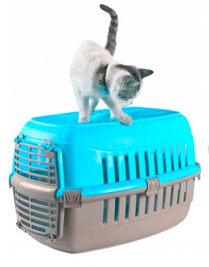 Transporter Dla Kota Psa Królika Kolory Do 12kg