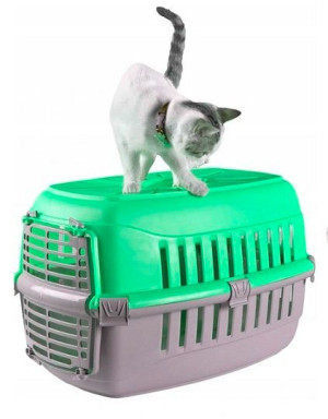Transporter Dla Kota Psa Królika Kolory Do 12kg