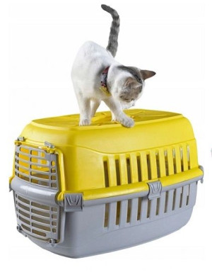 Transporter Dla Kota Psa Królika Kolory Do 12kg
