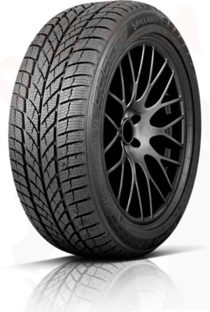 2x 225/45R18 95V Inverno PAXARO 2021