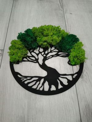 Drzewko z mchem chrobotkiem , bonsai , mech 45 cm