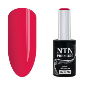 NTN Lakier hybrydowy Premium 139 California Collection 5g