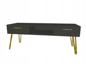 Szafka rtv pod TV szara GLMAOUR, ZŁOTE LOFTOWE nogi 120x40cm