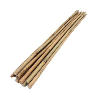 Tyczki Bambusowe Podpory Do Roślin 60cm 10 Szt.