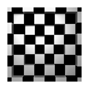 Fototapeta BLACK&WHITE SQUARES 366 x 254 cm