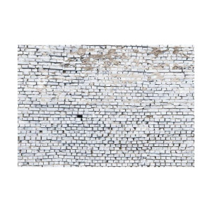 Fototapeta BIAŁA CEGŁA 368 x 254 cm
