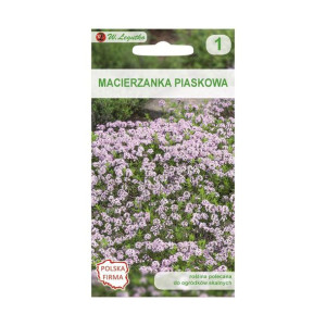Macierzanka piaskowa RÓŻOWA nasiona tradycyjne 0.08 g W. LEGUTKO