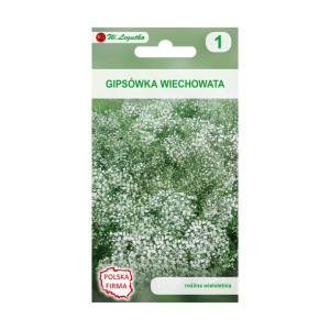 Gipsówka wiechowata BIAŁA nasiona tradycyjne 0.2 g W. LEGUTKO