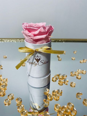 Wieczne róże - różowa żywa wieczna róża – biały flower box mini