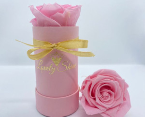 Wieczne róże - różowa żywa wieczna róża – różowy  flower box mini