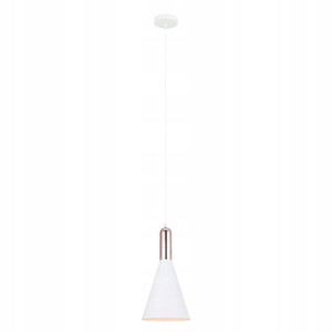 Lampa sufitowa wisząca Edison Loft SILVER E27 LED